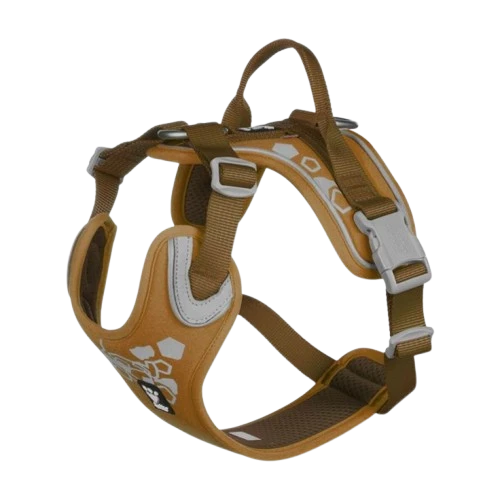 The game with our new additions!