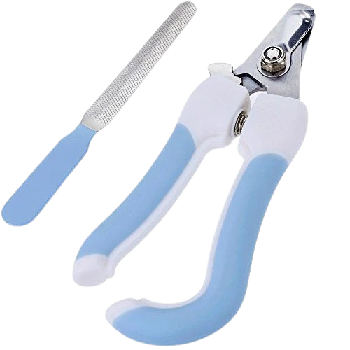 The game with our new additions!