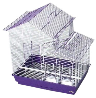 The game with our new additions!